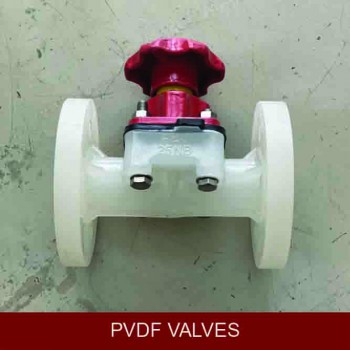 PVDF Plastic Valves Diaphragm